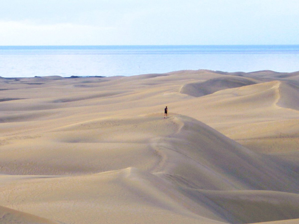 Duinen